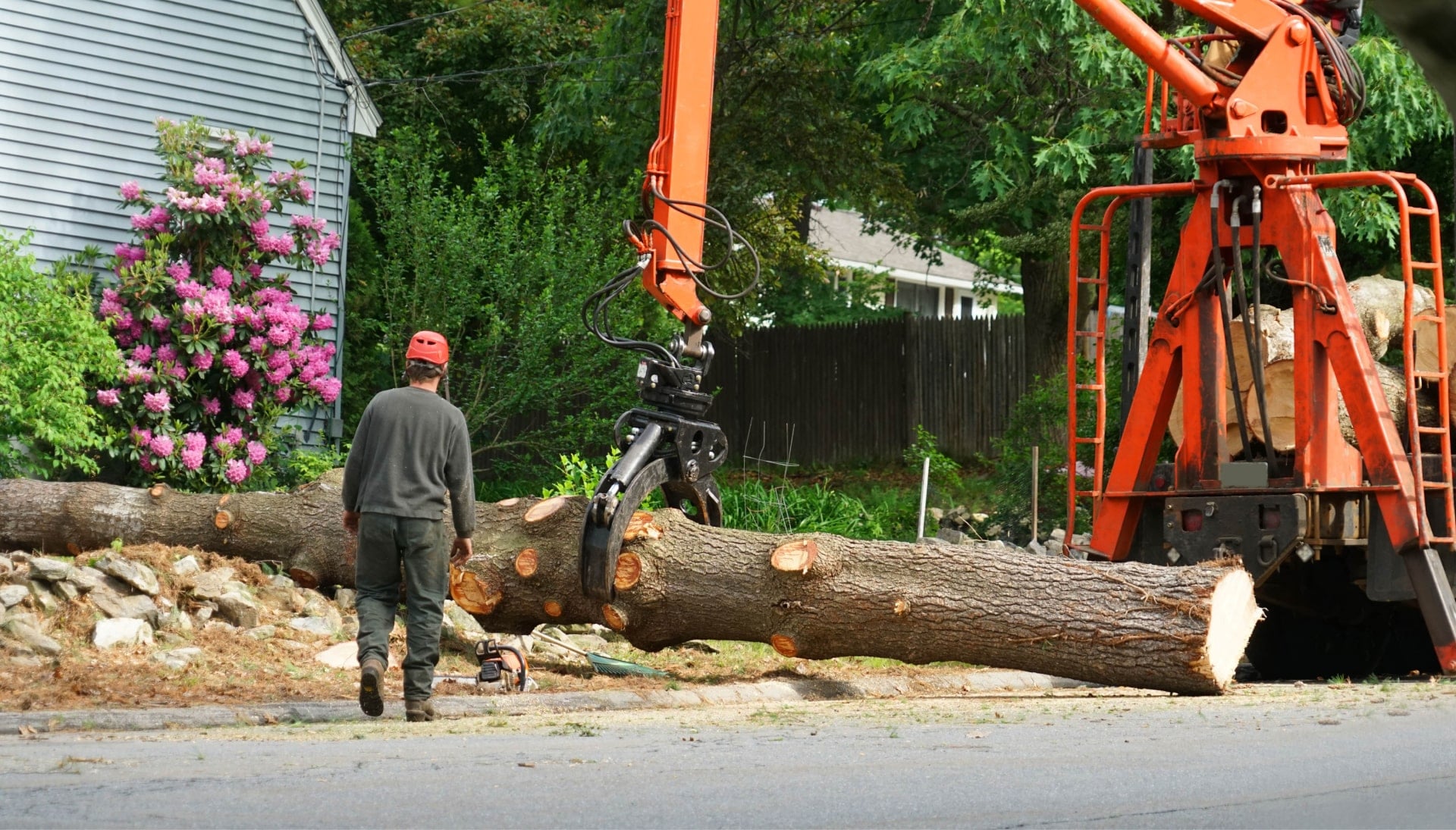 Local partner for Tree removal services in Pasadena